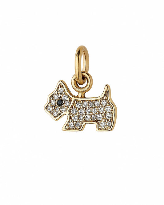 Charm Dog Dourado