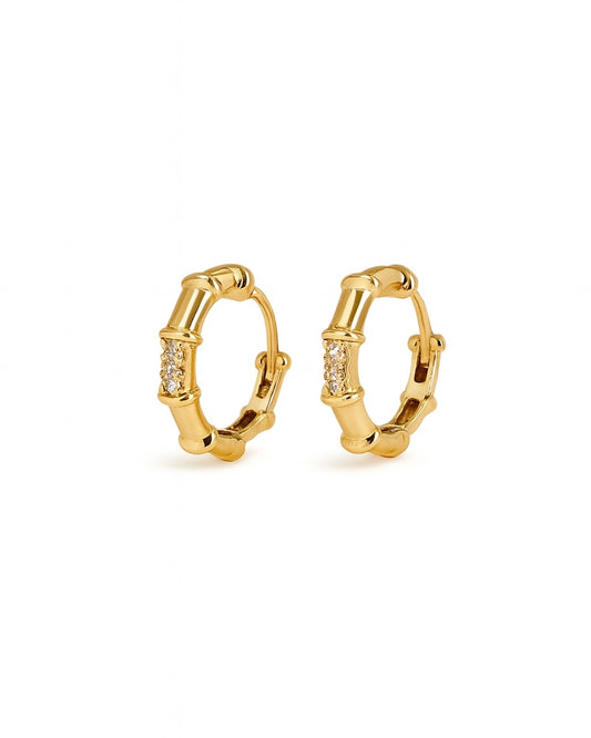 Brinco Argola Ricca Cravejado Dourado